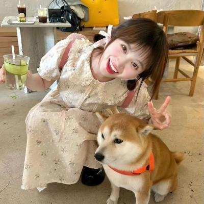 失眠者的避难所